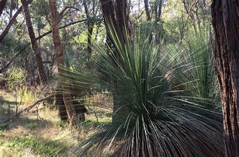 wangaratta tourist information|Discover Visit Wangaratta.